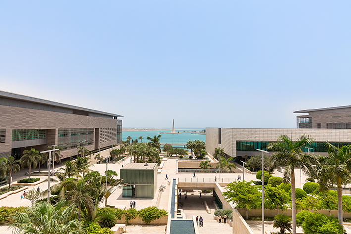 访问学者研究计划（VSRP）-阿卜杜拉国王科技大学