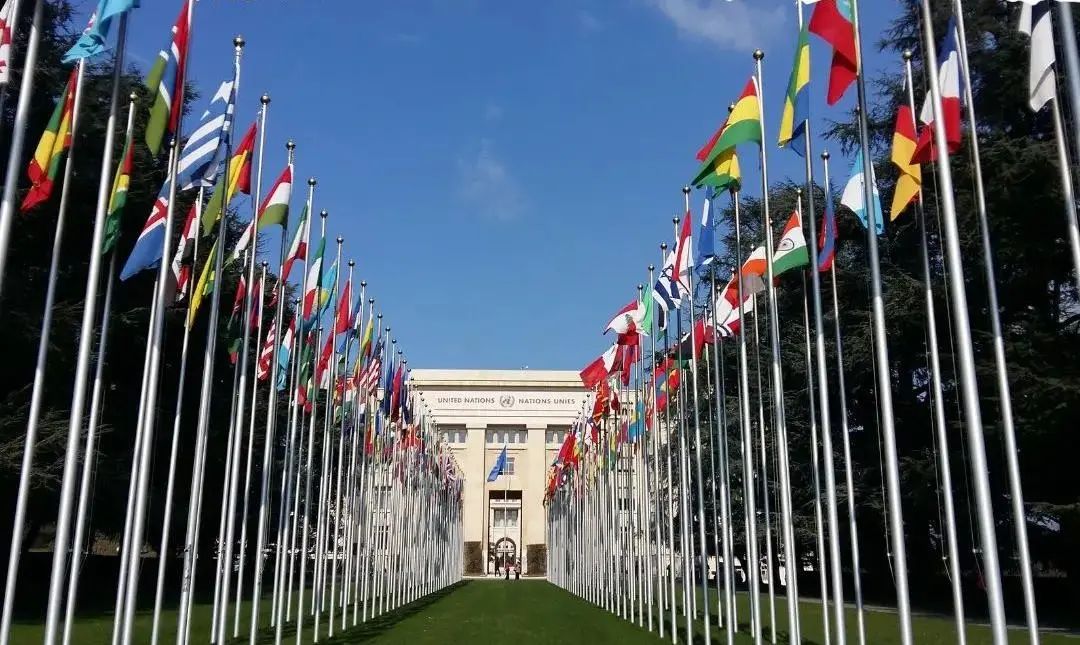 第11届亚洲世界模拟联合国大会（2025.7韩国-首尔）